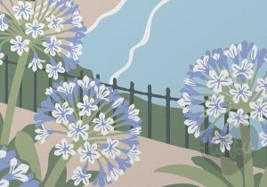 detail of of Babbacombe Bay in Torquay with agapanthus flowers